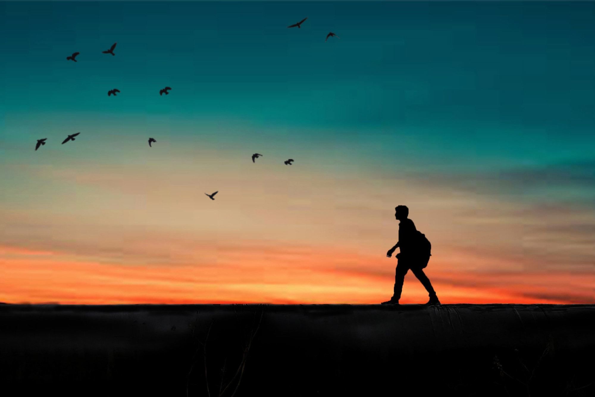 traveler
